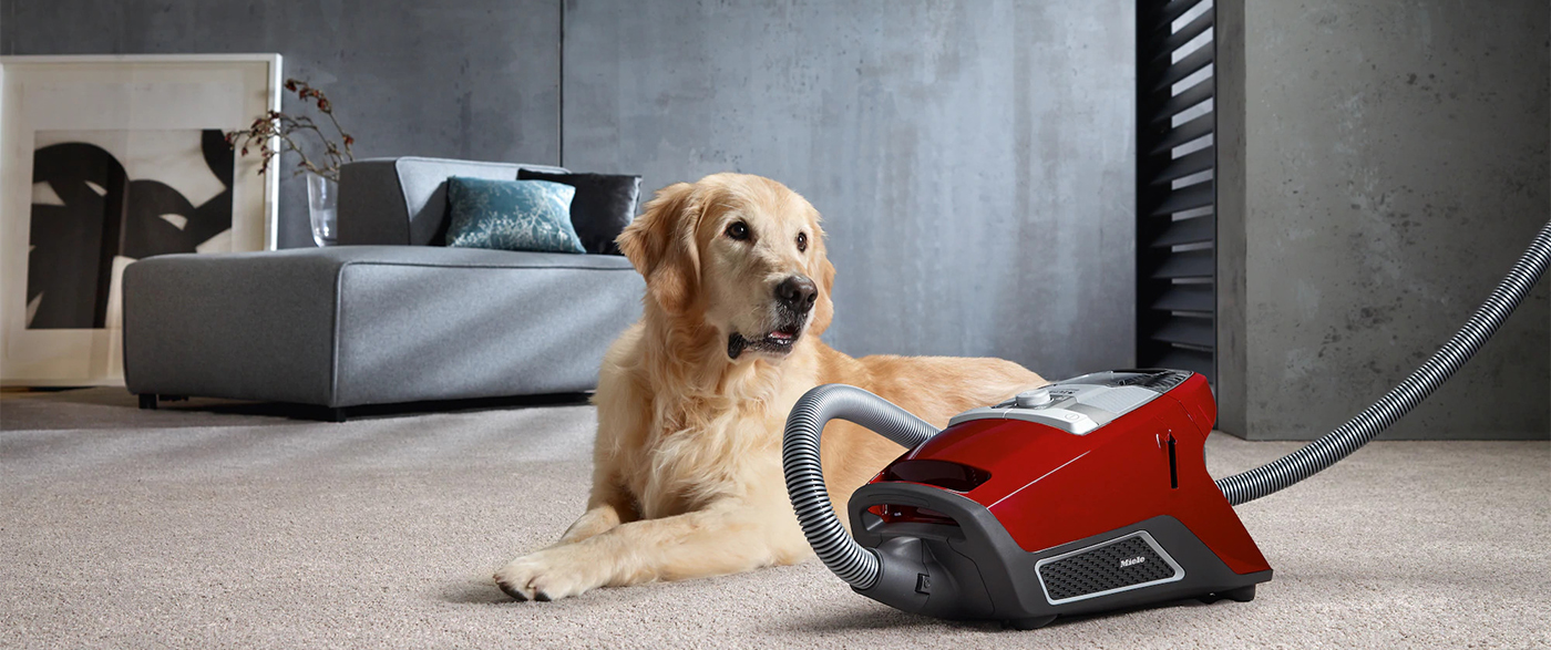 Пылесосы – аналоги Miele SDBB0 Compact C2 Cat&Dog