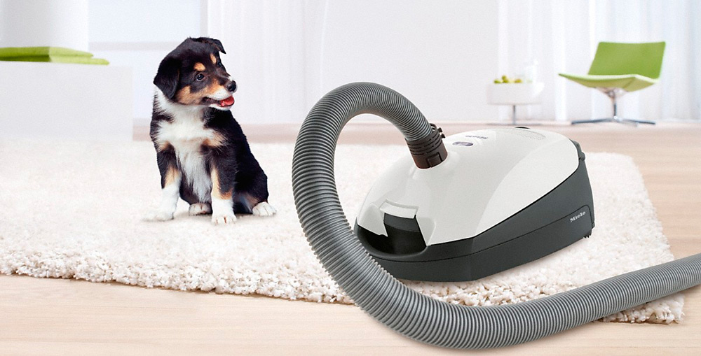 Пылесос Miele Compact C2 Cat&Dog PowerLine SDBB0