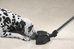 Насадка для уборки ковров Miele STB 205-3