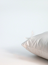 Средство для стирки вещей с наполнителем из пуха Miele WADF252L