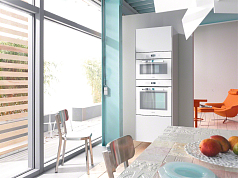 Встраиваемая пароварка Miele DG6401 BRWS