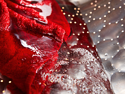 Стирально-сушильная машина Miele WTD160WCS