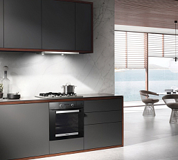 Духовой шкаф Miele H 2465 BP ACTIVE