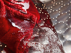 Стиральная машина Miele WDD030 серии W1 Classic