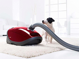 Пылесос Miele SGEA3 Complete C3 Cat&Dog ежевичный красный