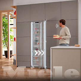 Active Door