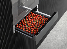 Подогреватель Miele ESW 7010 GRGR с витрины, новый