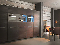 Встраиваемая пароварка Miele DG6401 HVBR